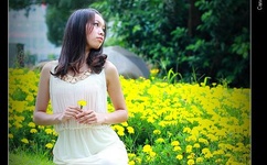 中文字幕卡二和卡三的视频